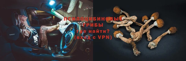 трава Богородицк