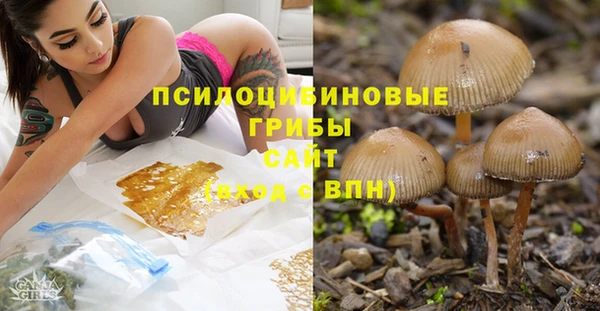 трава Богородицк