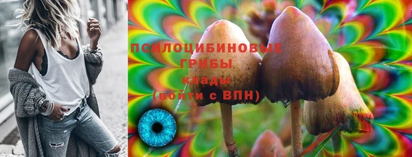 мет Белокуриха